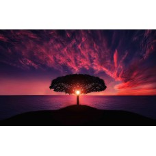 NEW YEAR BACKGROUND    TREE    SUNSET    CLOUDS    SKY    SILHOUETTE    HILL    SEA    OCEAN    TREE SILHOUETTE    SUN    DUSK    TWILIGHT    AFTERGLOW    SEASCAPE    NATURE    LANDSCAPE    ISLAND    SUNDOWN    ZOOM BACKGROUND 