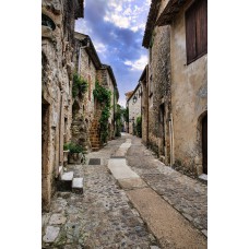 MEDIEVAL    STREET    COBBLESTONES